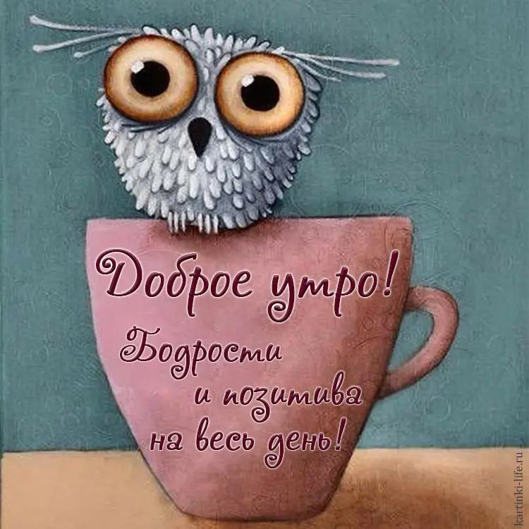 dobroe-utro-bodrosti-i-pozitiva-na-ves-den-prikolnaya-otkrytka-s-dobrym-utrom-grustnaya-belay...webp