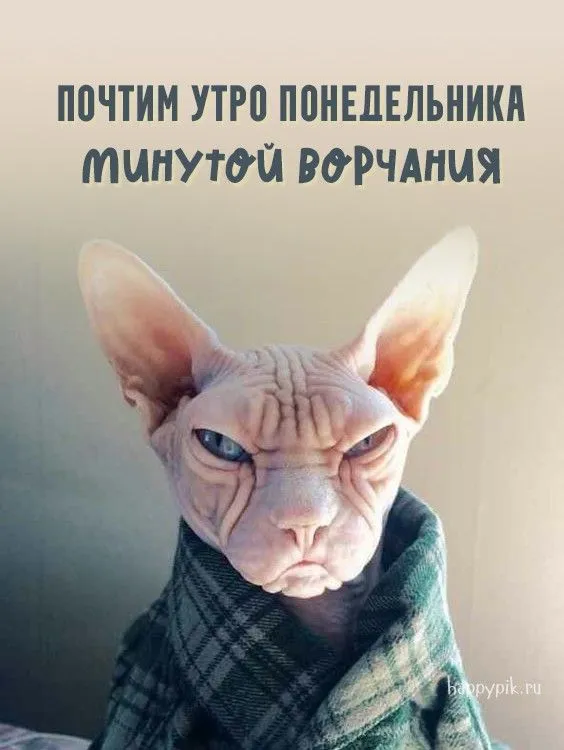 dobroe-utro-po-dnjam-nedeli12.webp
