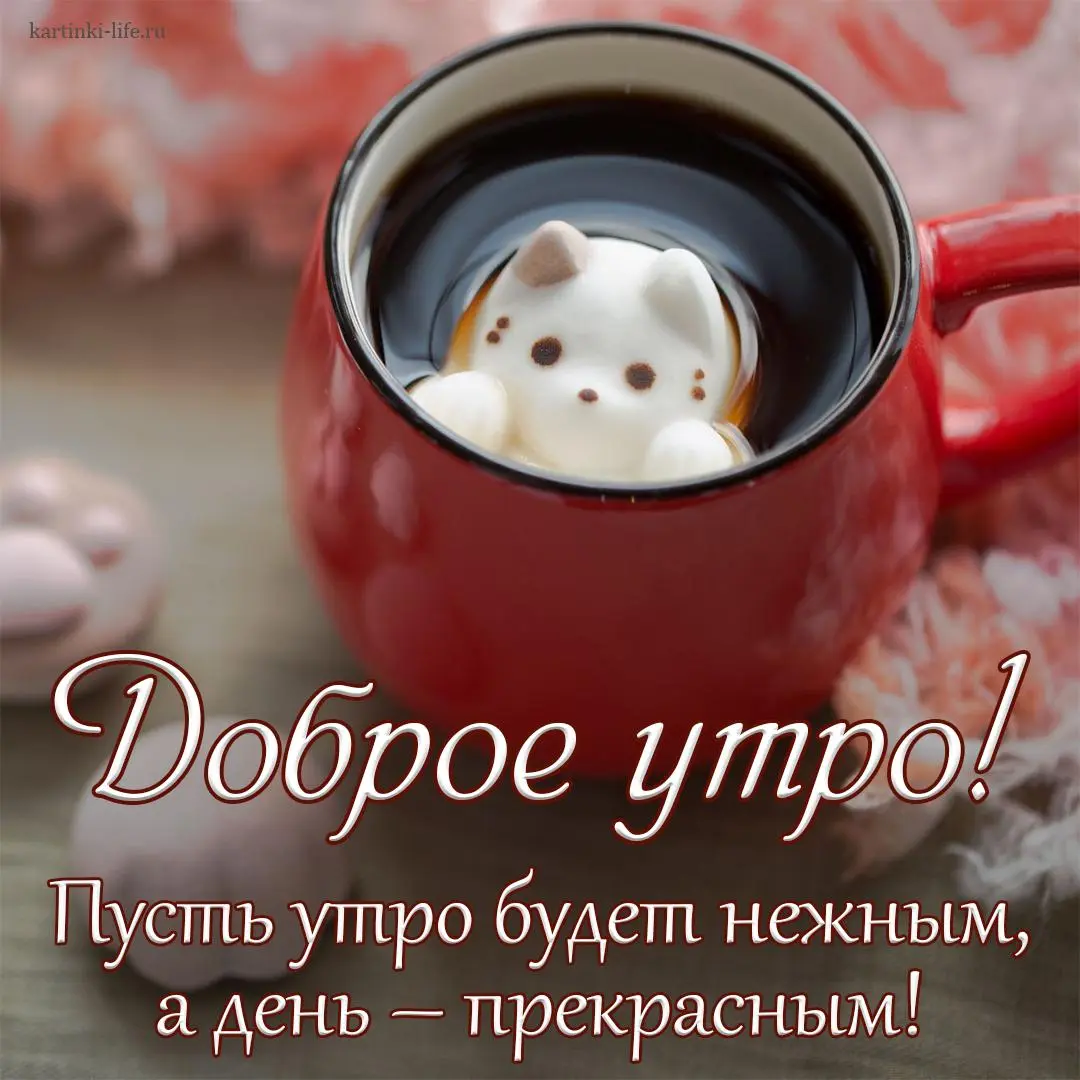 dobroe-utro-pust-utro-budet-nezhnym-a-den-prekrasnym-krasivaya-otkrytka-s-dobrym-utrom-kotjonok.webp