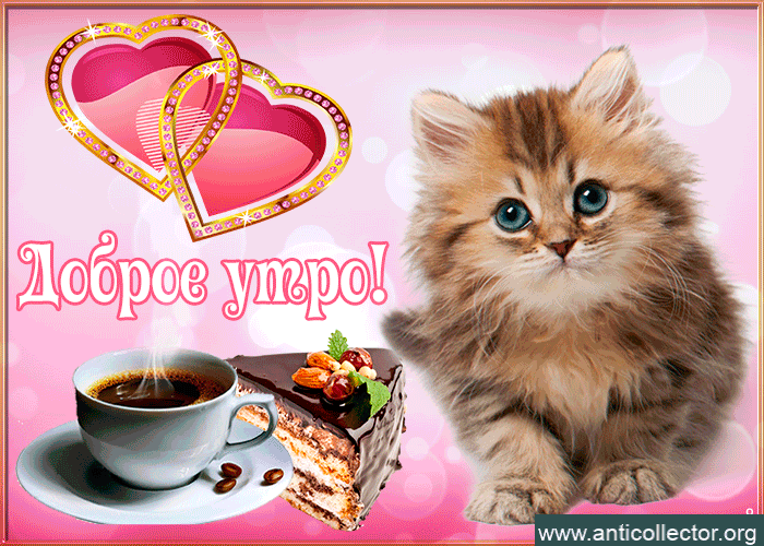 dobroe-utro-uspeshnogo-tebe-dnya-44107.gif