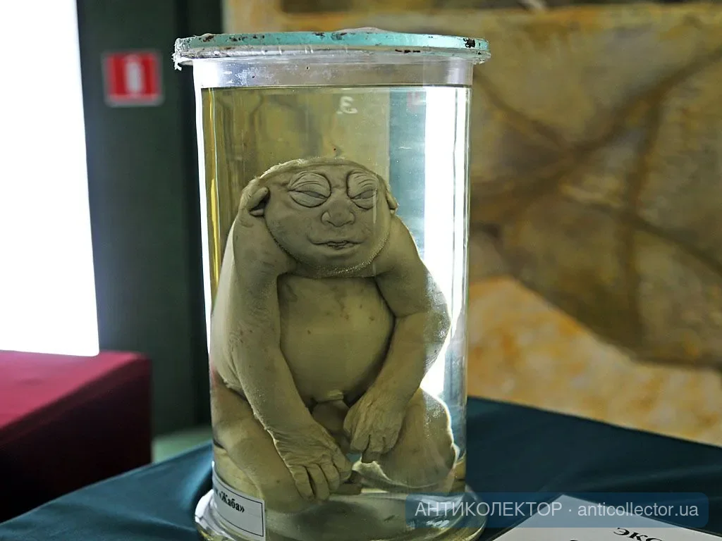 друг в банке.webp