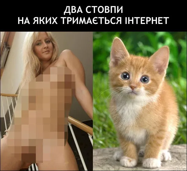 dva_stovpy_internetu.webp