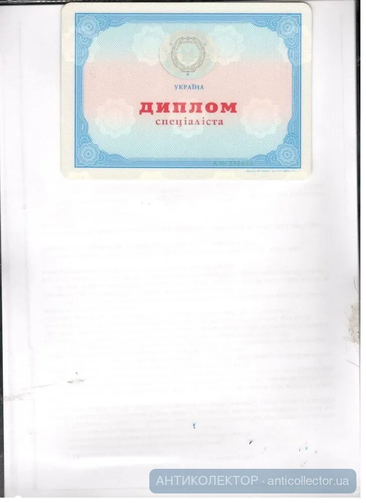 диплом с1 001.jpg