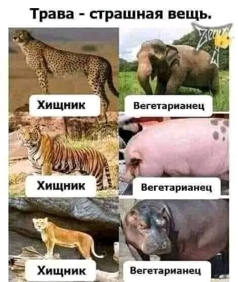 E1F5B7DD-9751-4F72-A0A7-1A69DE9DFD0D.webp