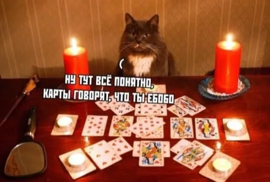 E5022383-4F4D-49D1-9449-A3C08F2FE589.webp