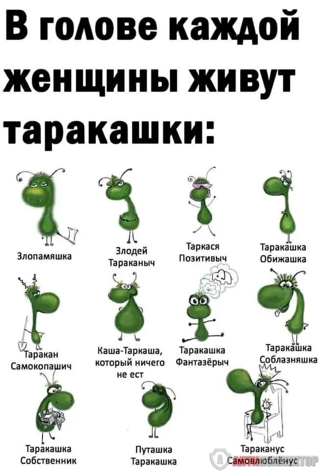 e9ad2cfdb3ccdbc14f3b8ea70f41e47e.webp