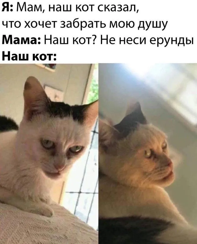 eba5ab9ae3aa75c8fdda526dc23c08be.webp
