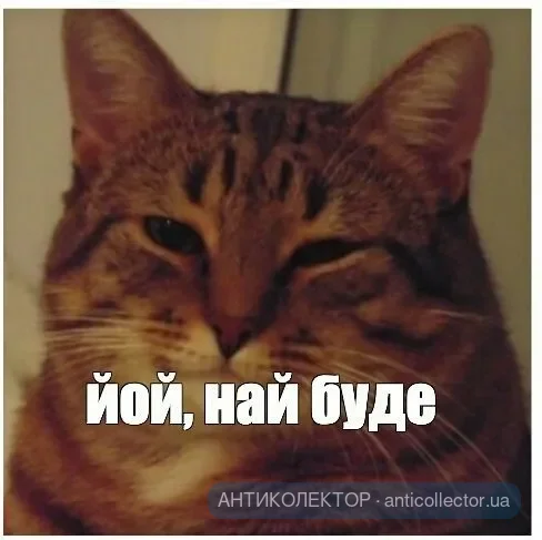 ed41c55edb0470f858a378f107172788(1).webp