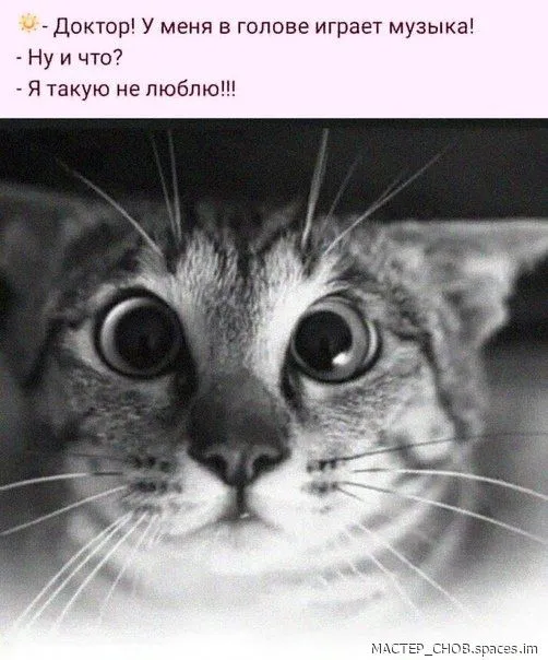 EU6ohVeX0AIY1Y1-world.spcs.bio.webp
