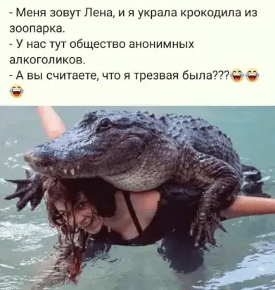 f0621bf1723f9db25c97e09ee2e93f49.webp