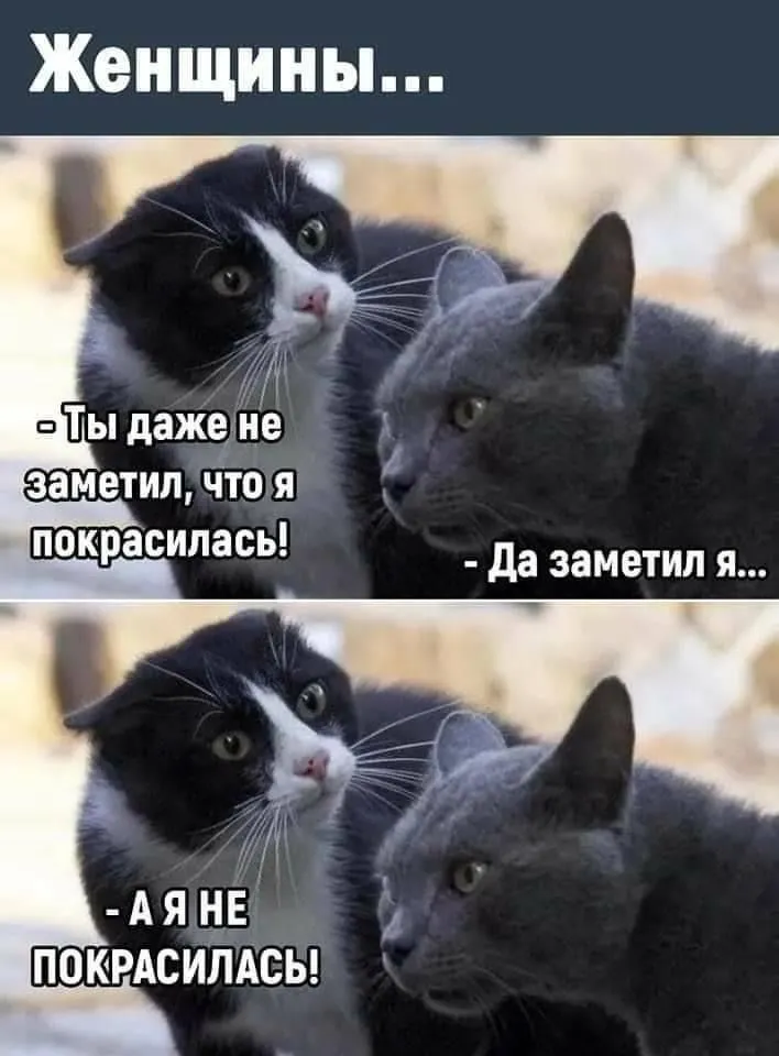 F3432FFC-4FB1-42D1-B655-19F71B9E822C.webp