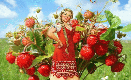 f57c63e7ac07d61b32371334195a96a5.gif
