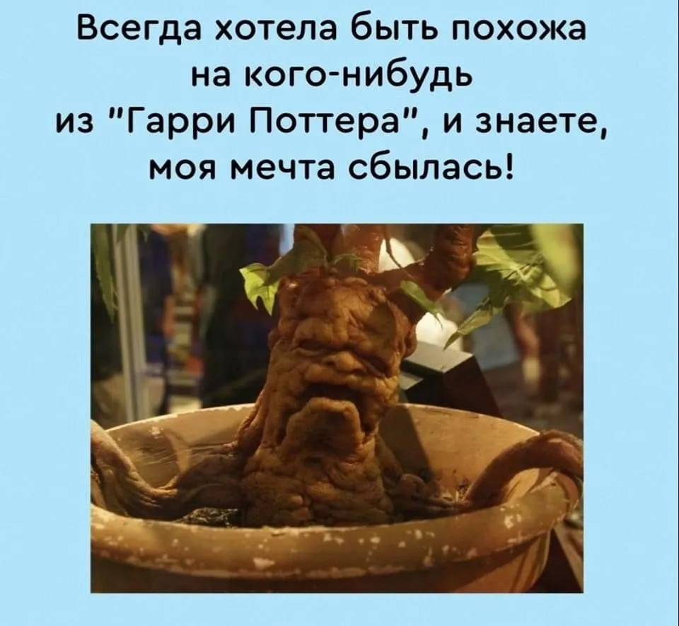 F7E477E5-3106-4F2C-AC51-D874246F8B04.webp