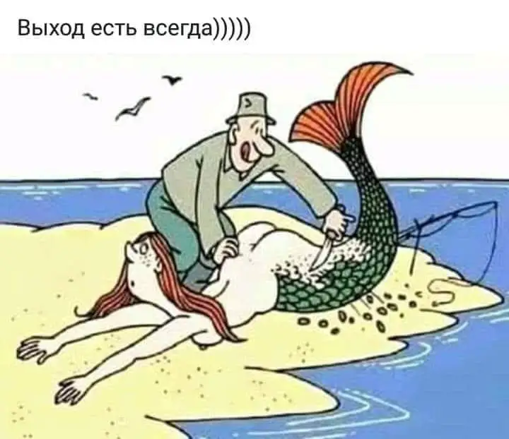 FB_IMG_1550865992121.webp