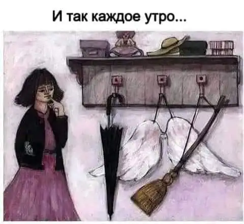 FB_IMG_1562782130218.webp