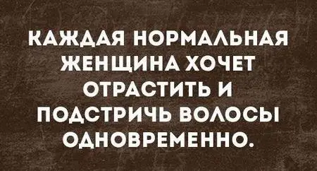 FB_IMG_1569477376231.webp