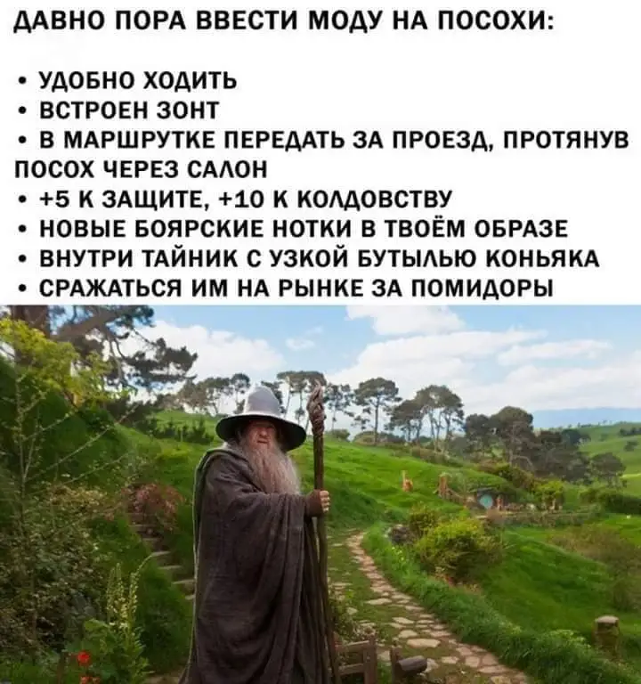 FB_IMG_1579981084558.webp