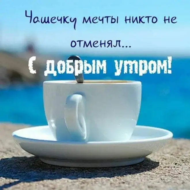 FB_IMG_1582659157610.webp