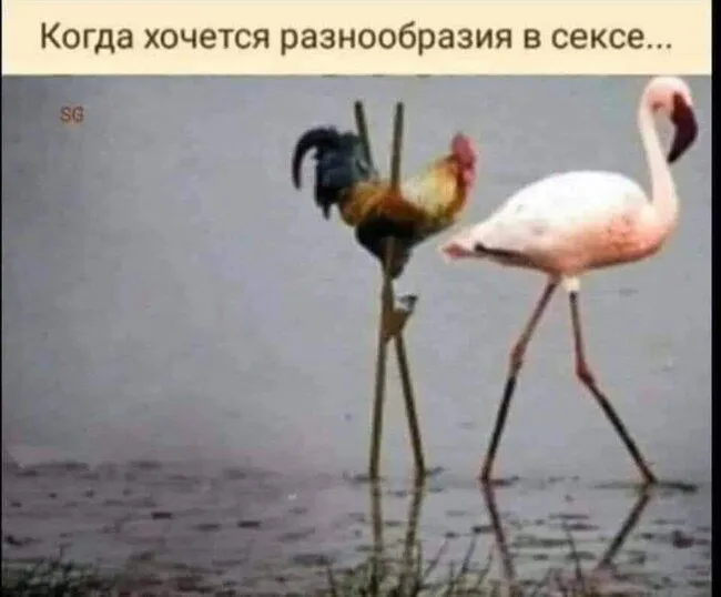 FB_IMG_1582749493915.webp
