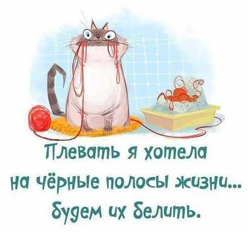 FB_IMG_1589736837056.webp