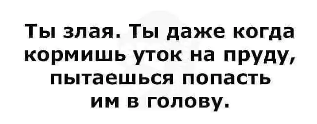 FB_IMG_1604009767717.webp