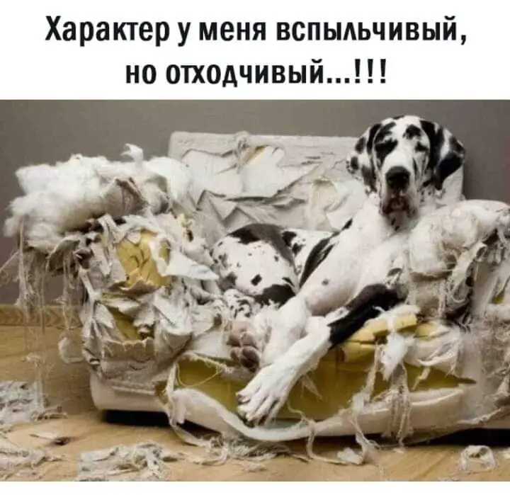 FB_IMG_1605214843641.webp
