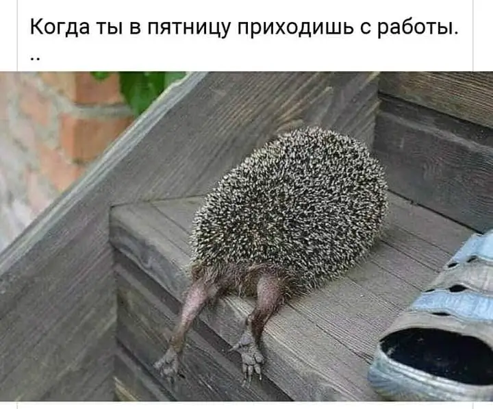 FB_IMG_1607711850519.webp
