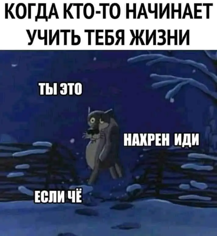 FB_IMG_1607956818162.webp
