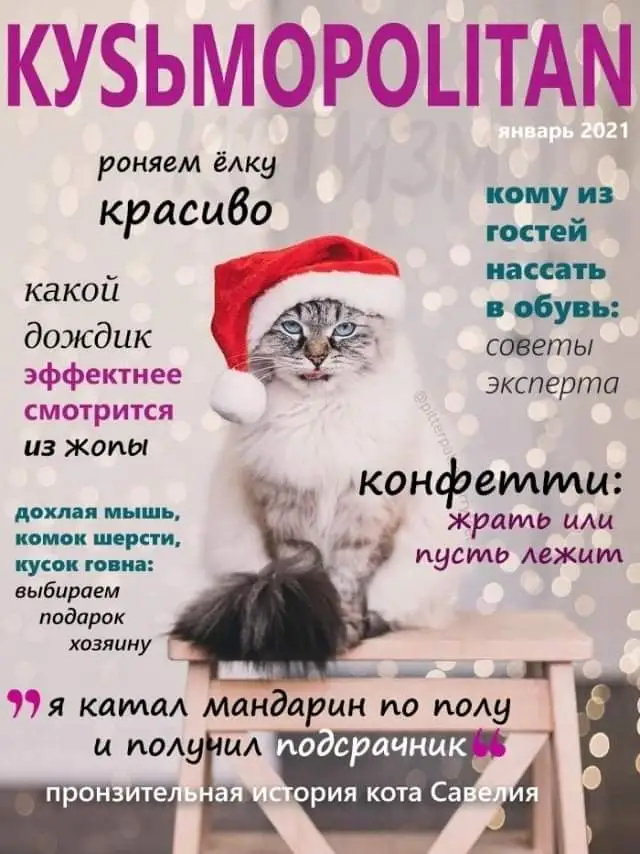 FB_IMG_1609735223993.webp