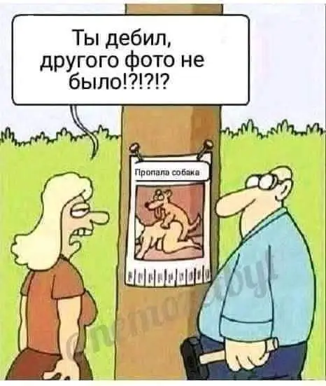 FB_IMG_1610435269577.webp