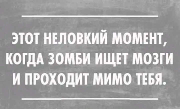 FB_IMG_1611613219248.webp