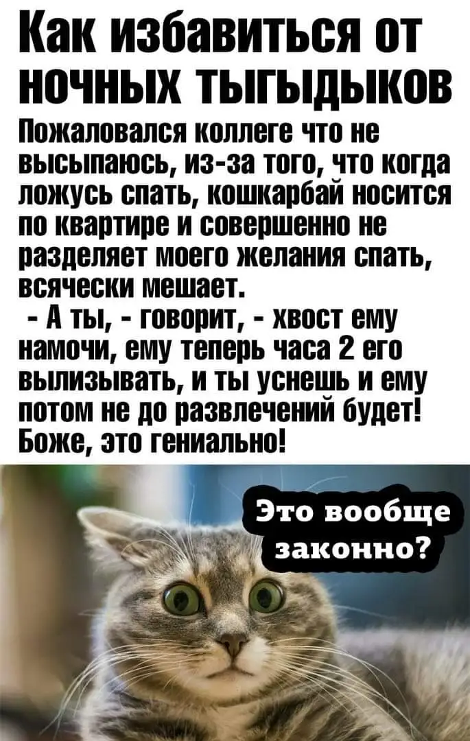 FB_IMG_1611741460654.webp