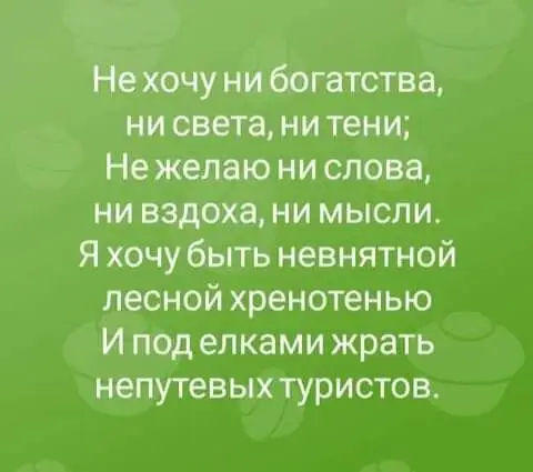 FB_IMG_1613056625813.webp