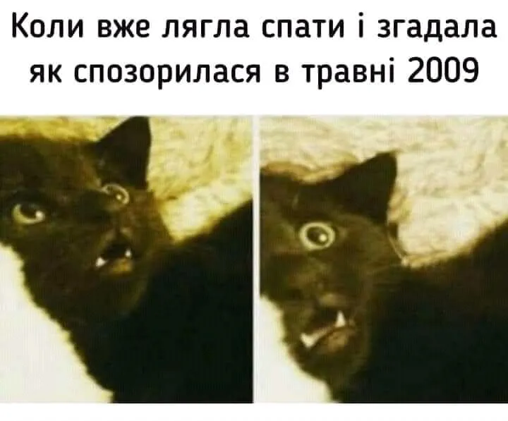FB_IMG_16135906021614118.webp