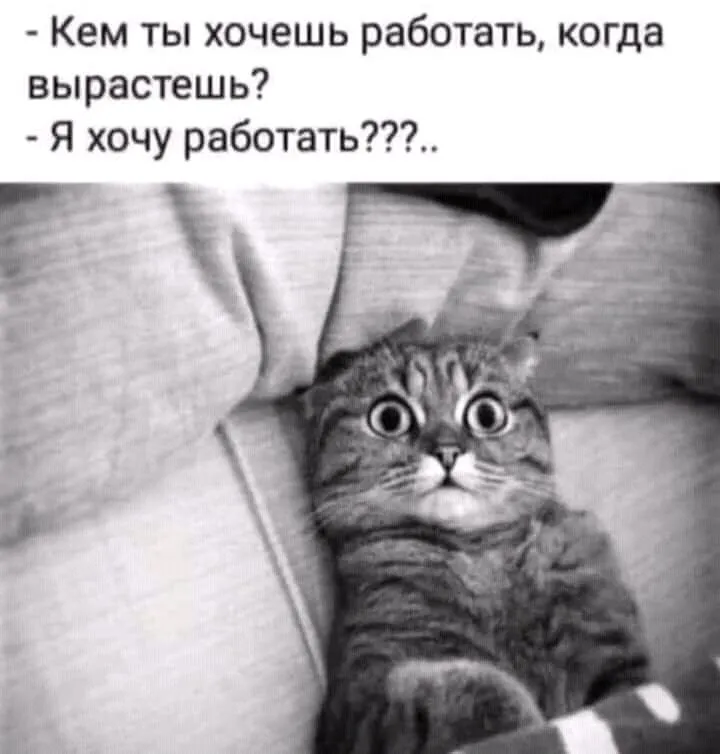 FB_IMG_16140748358011141.webp