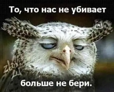 FB_IMG_1614293024800.webp