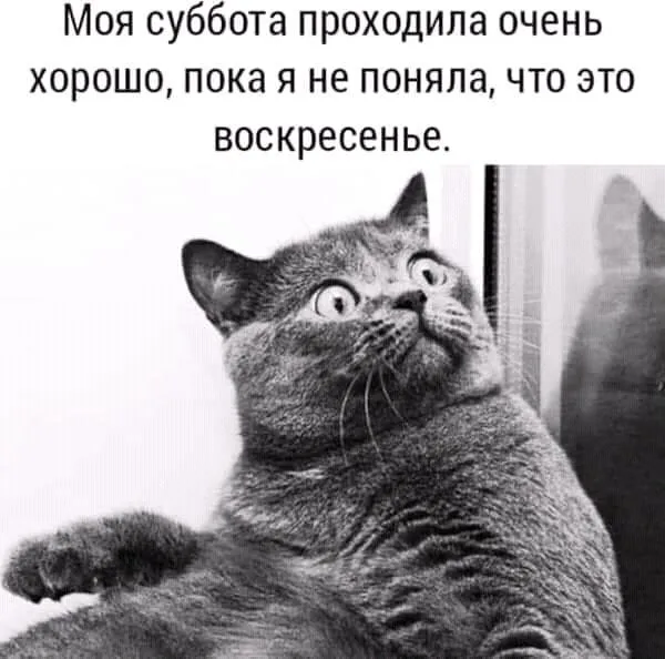 FB_IMG_16157333173752572.webp