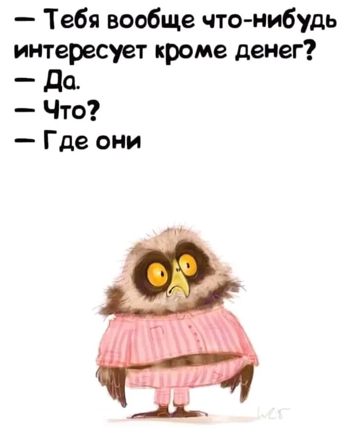 FB_IMG_16160216627507417.webp