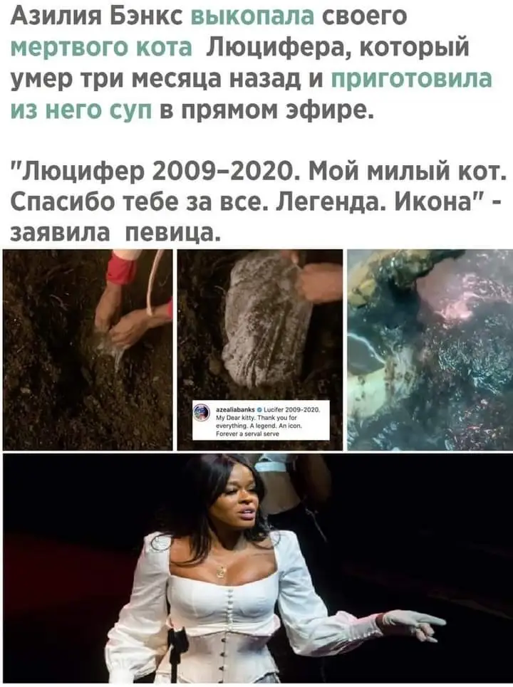 FB_IMG_1619809606884.webp