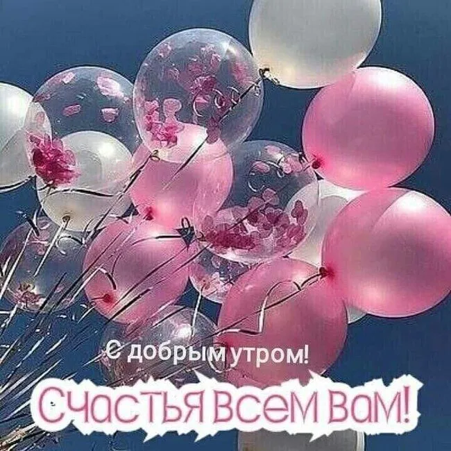 FB_IMG_1620714301472.webp