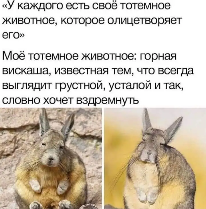 FB_IMG_1622406725748.webp