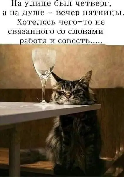 FB_IMG_1623318988464.webp