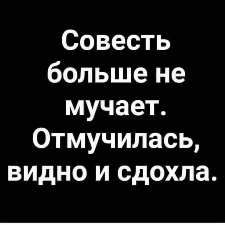 FB_IMG_1624268317719.webp