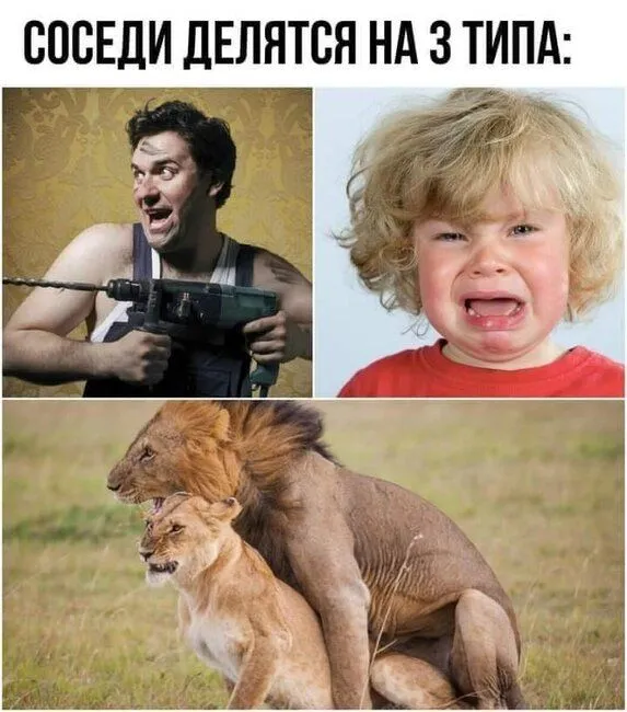 FB_IMG_1624720684231.jpg