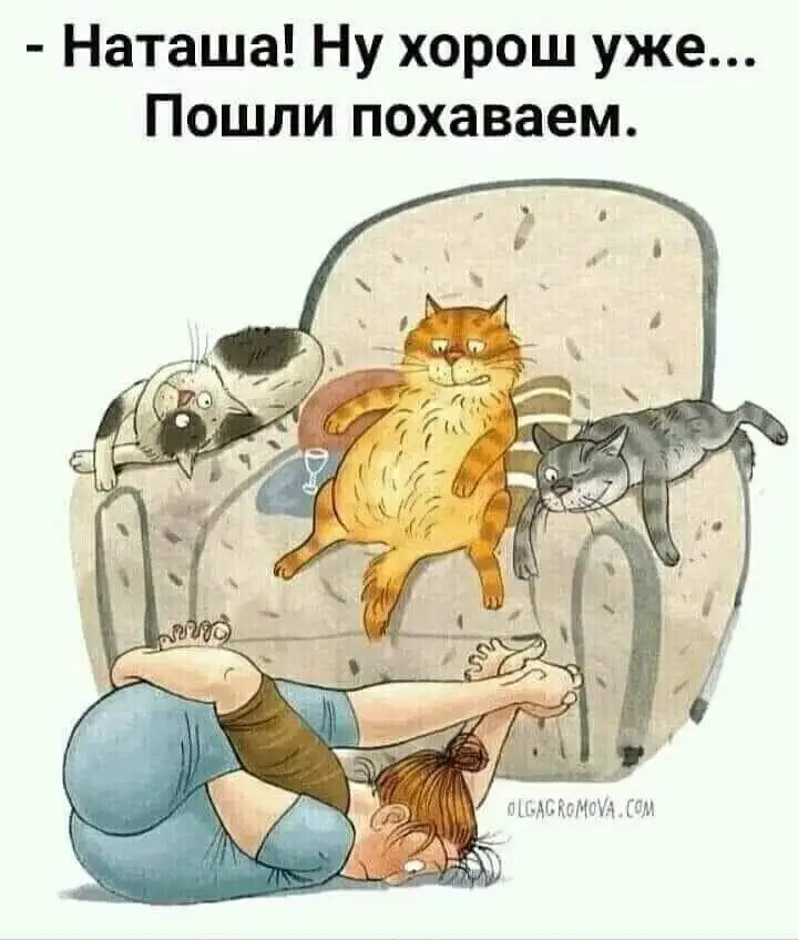 FB_IMG_1627401705981.webp