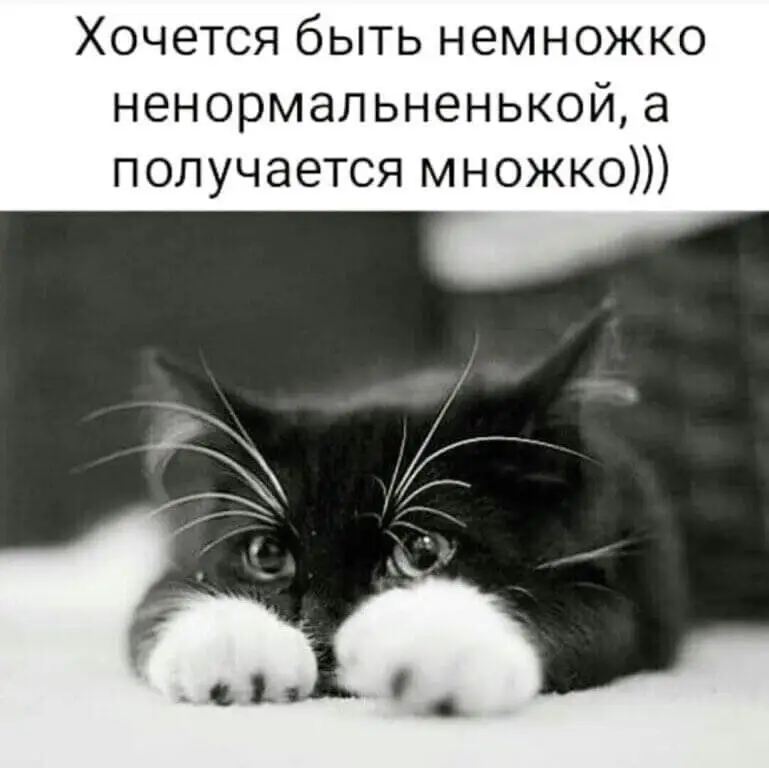 FB_IMG_1627639165766.webp