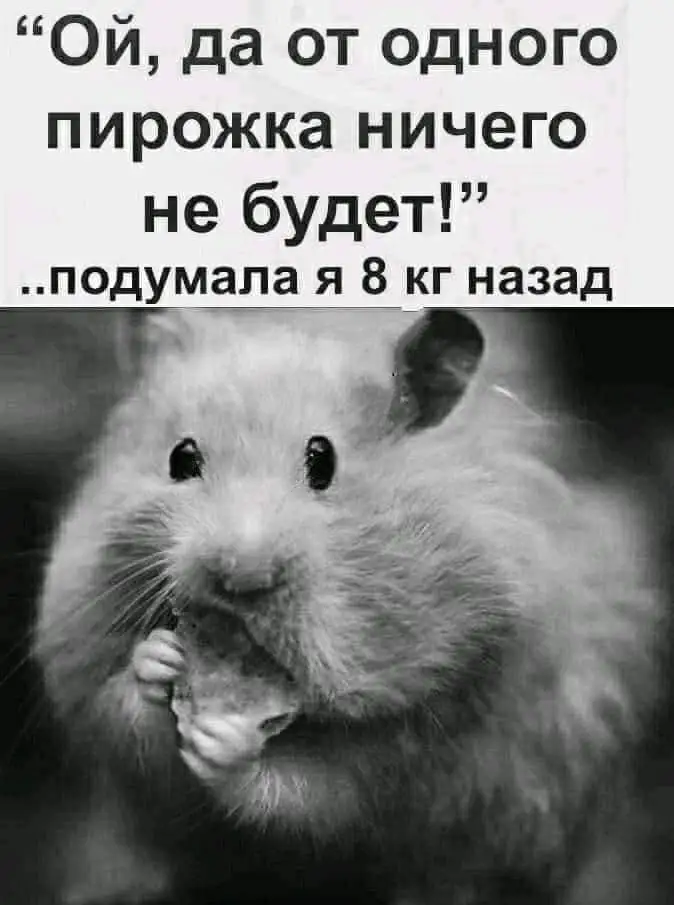 FB_IMG_1627671615683.webp