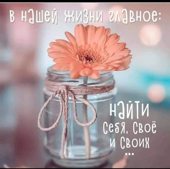 FB_IMG_1627895671416.webp