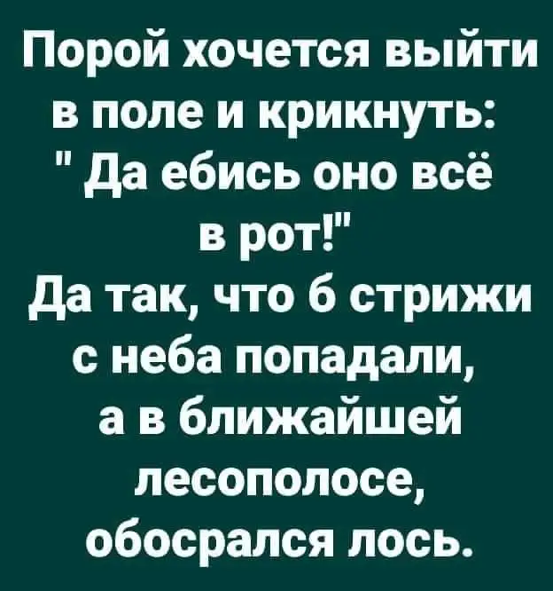 FB_IMG_1627916461603.webp