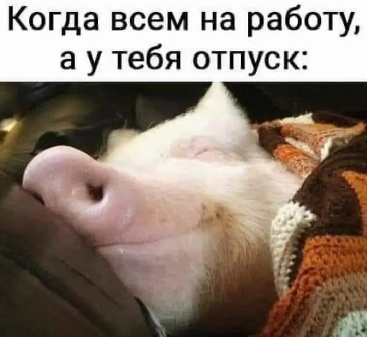 FB_IMG_1628014678551.webp